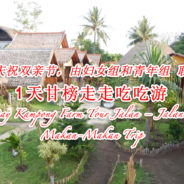 1天甘榜走走吃吃游 1 Day Kampong Farm Tour Jalan – Jalan & Makan-Makan Trip