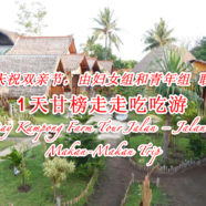 1天甘榜走走吃吃游 1 Day Kampong Farm Tour Jalan – Jalan & Makan-Makan Trip